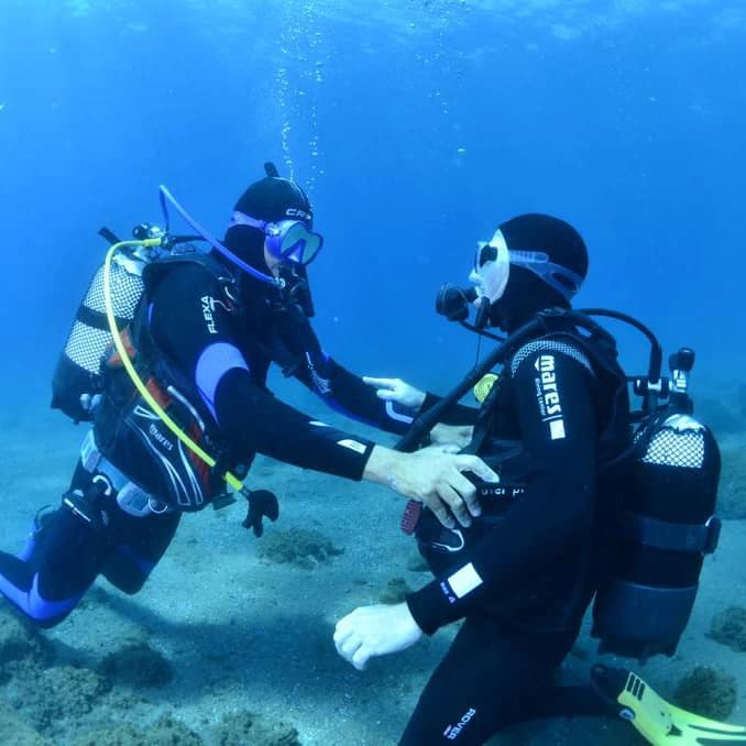 divers-in-nerja-and-torrox