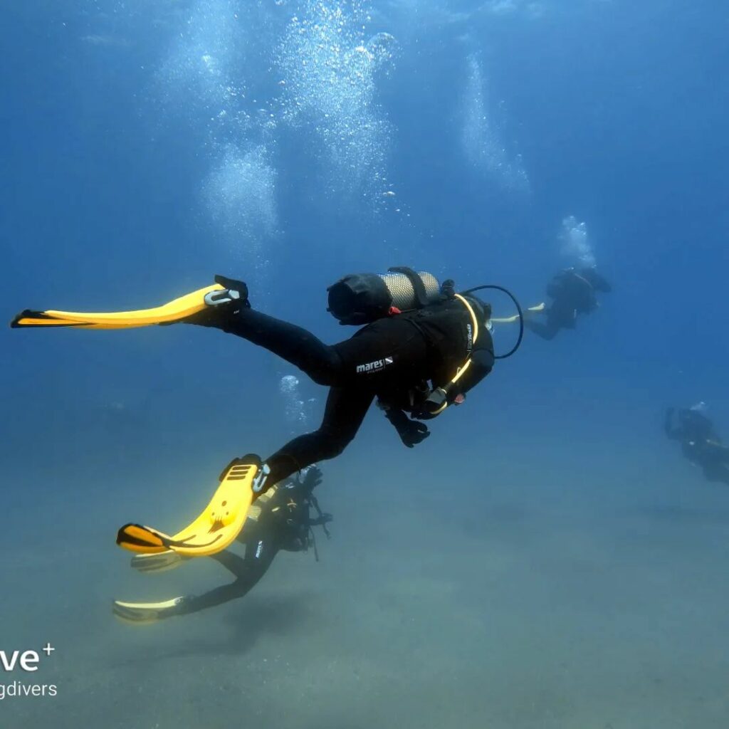 diving-courses-in-nerja-and-torrox
