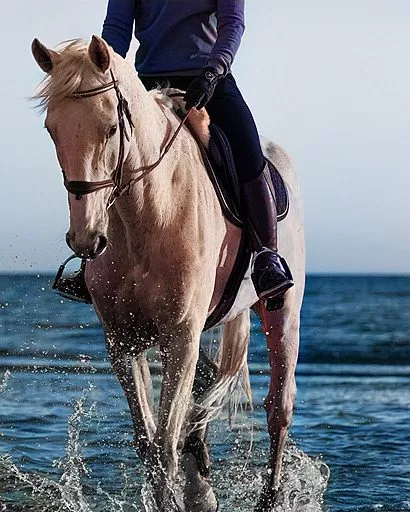 Balade à cheval sur la plage en Andalousie - Andaluciamia