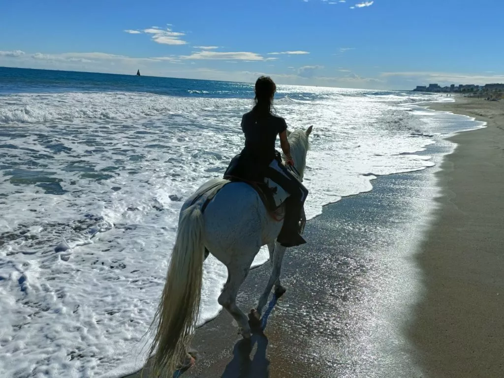 balade-cheval-plage-malaga-costa-del-sol-torremolinos