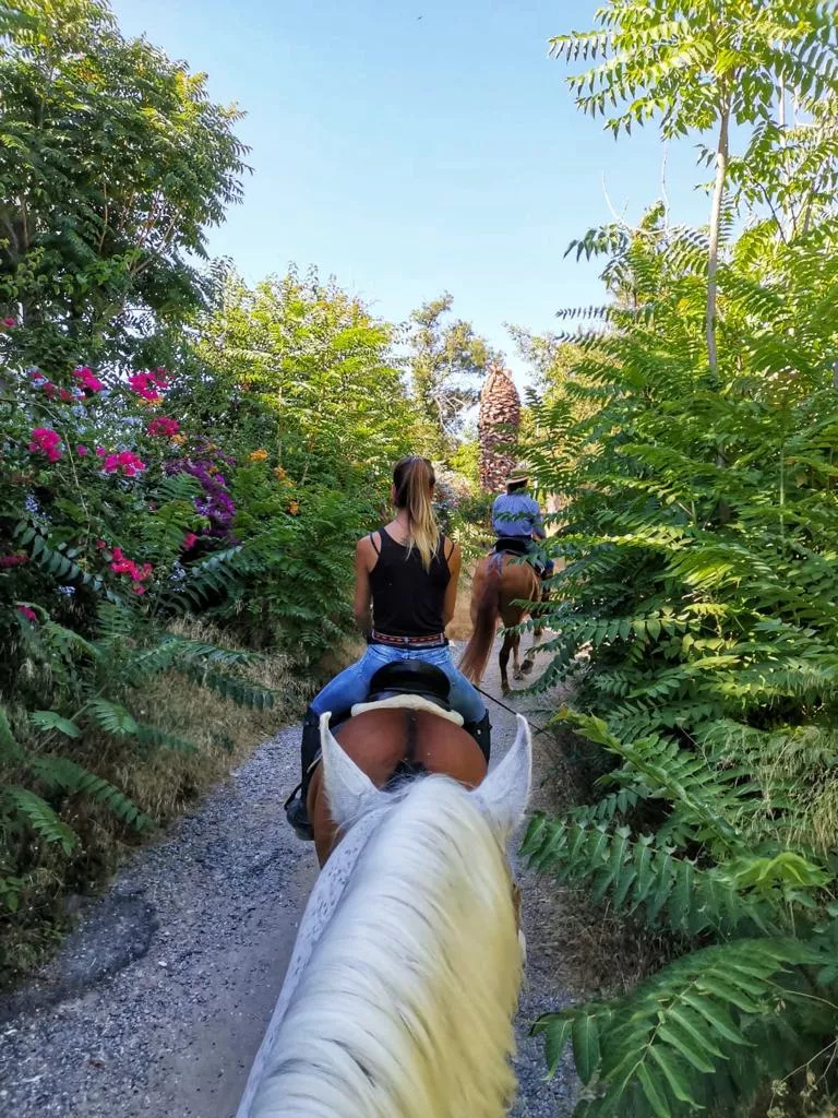 horse-riding-malaga-torremolinos-costa-del-sol