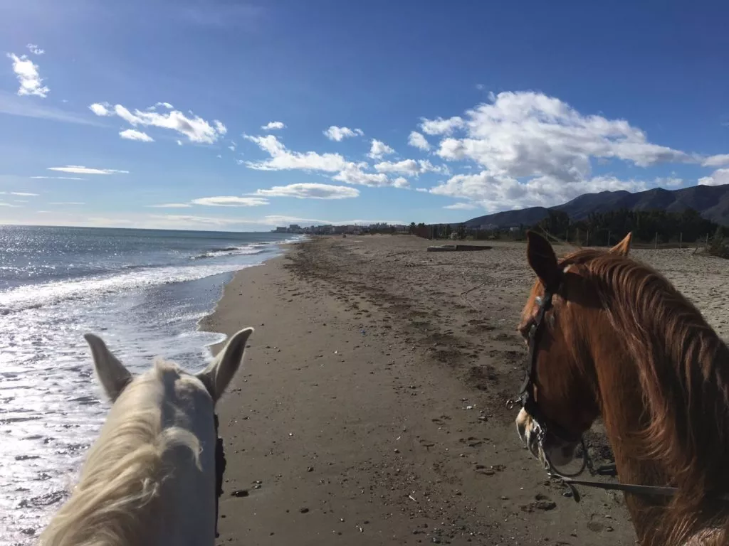 horseback-ride-beach-costa-del-sol-malaga-torremolinos