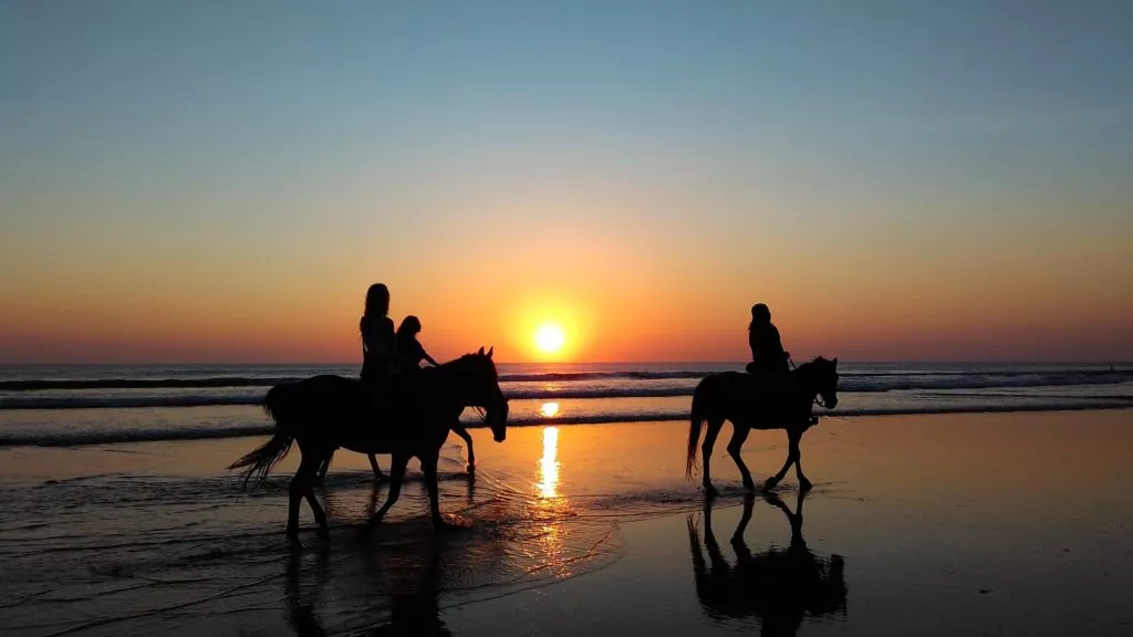 horseback-ride-malaga-sunset-beach