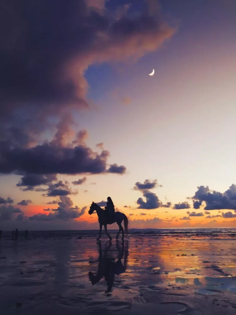 Balade à cheval sur la plage en Andalousie - Andaluciamia