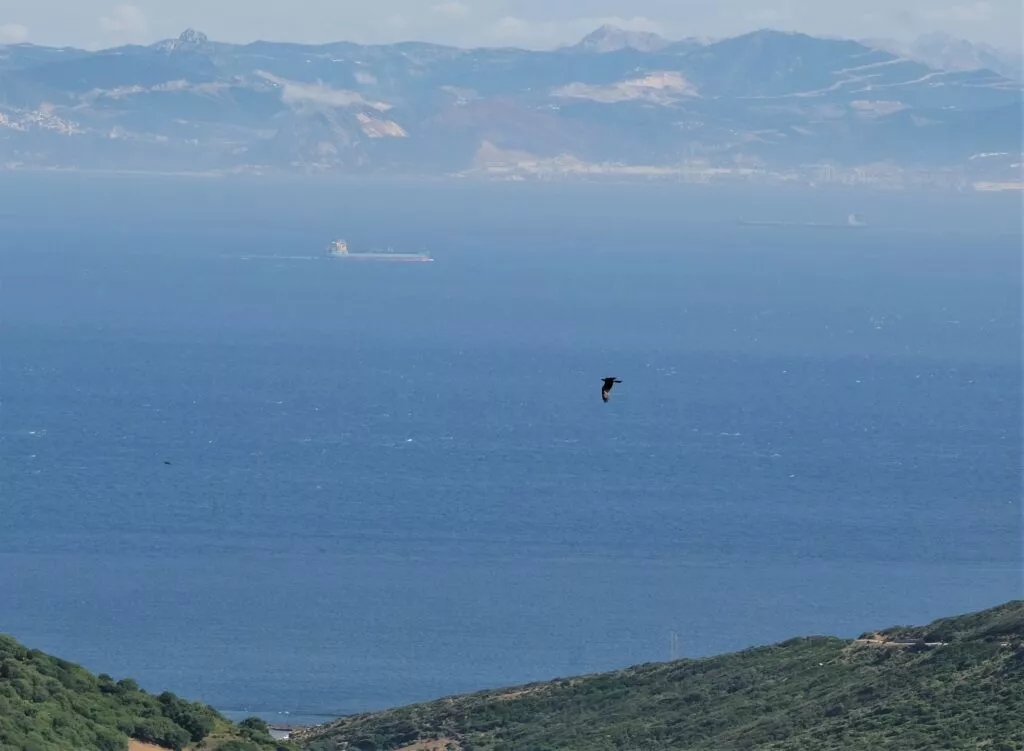 tarifa-voir-mirador-du-detroit-mirador-del-estrecho-vue-sur-tanger