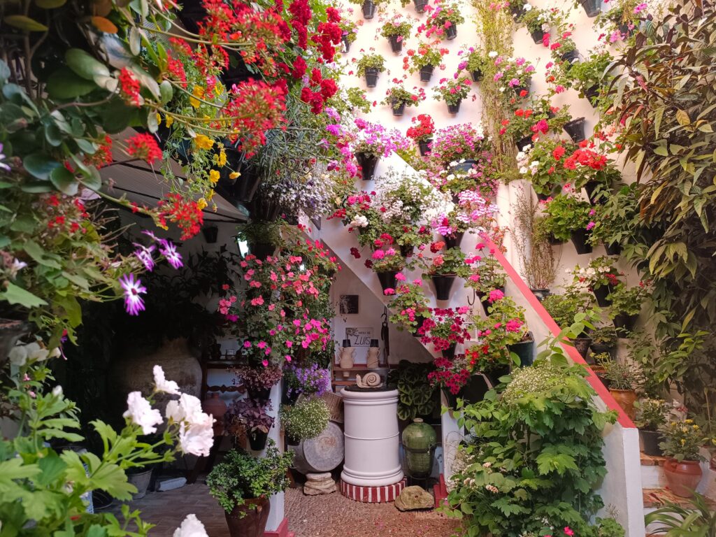 fiesta patios de cordoba recorrido