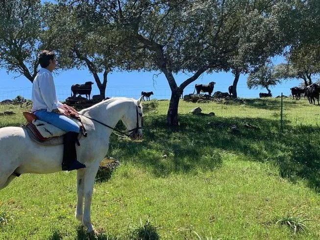 horse riding holiday andalusia vacation ranch
