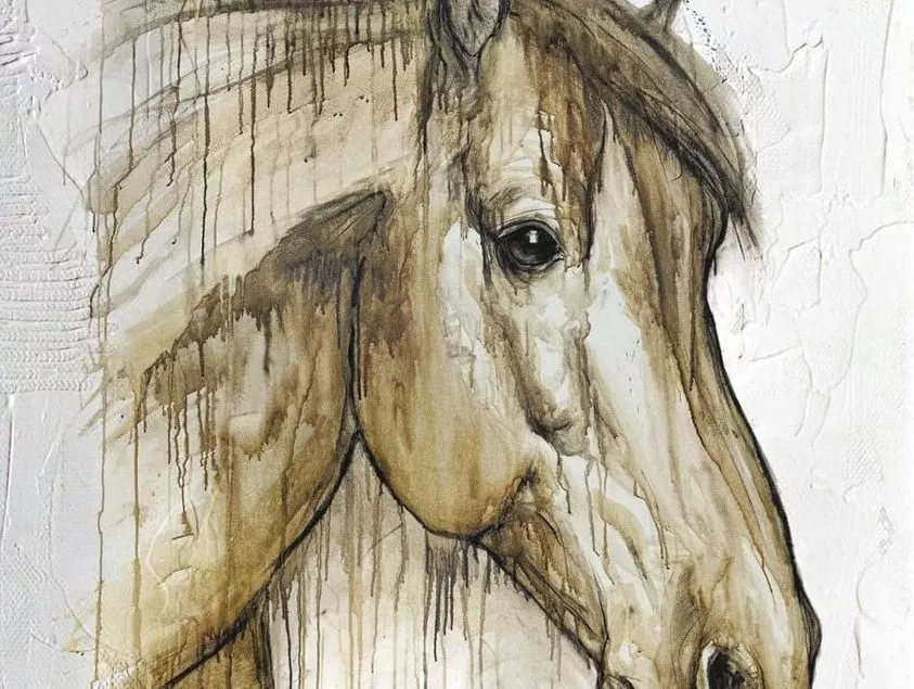 Jerez Horse Fair 2024 all the information you need Andaluciamia