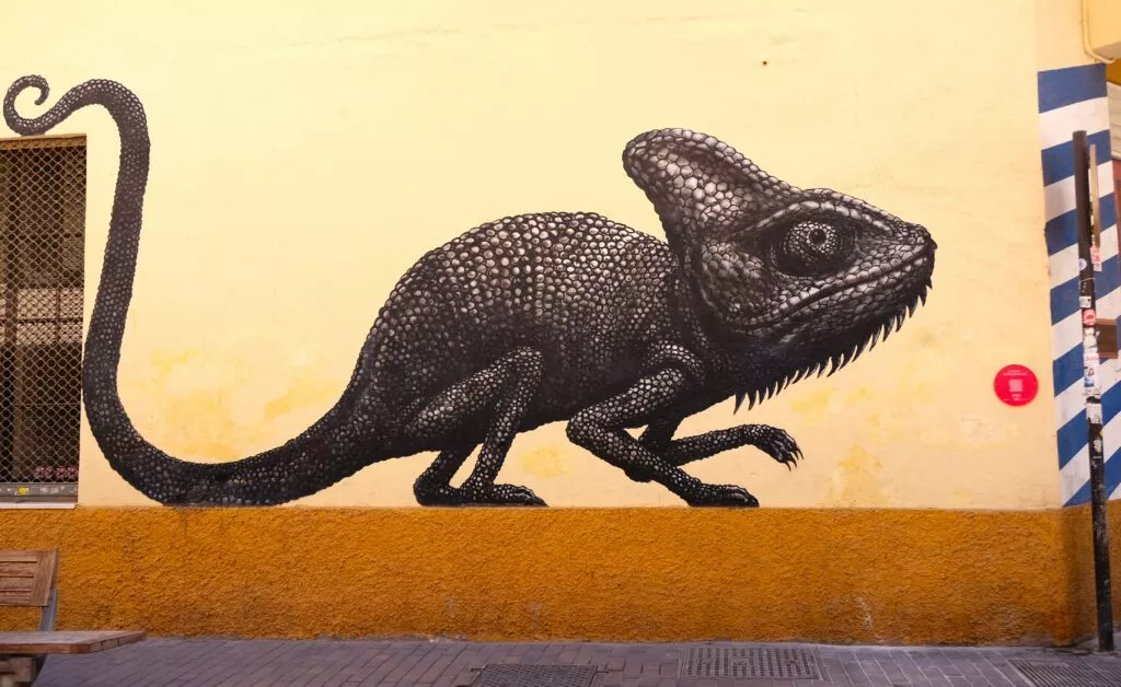 malaga-street-art-in-soho-neighbourhood-a-chameleon-by-roa