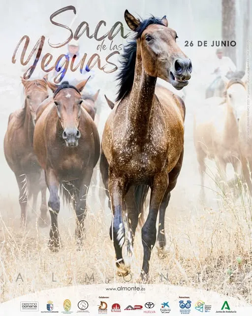almonte-el-rocio-saca-de-las-yeguas-2026