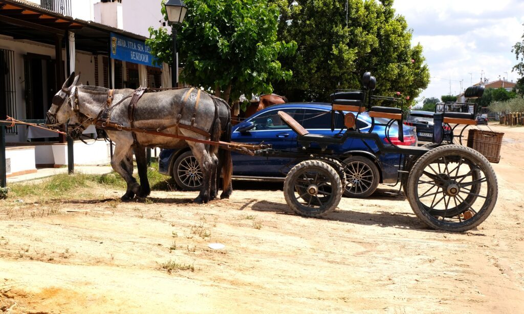 El Rocio cosa vedere e visitare una carrozza trainata da cavalli davanti a una casa