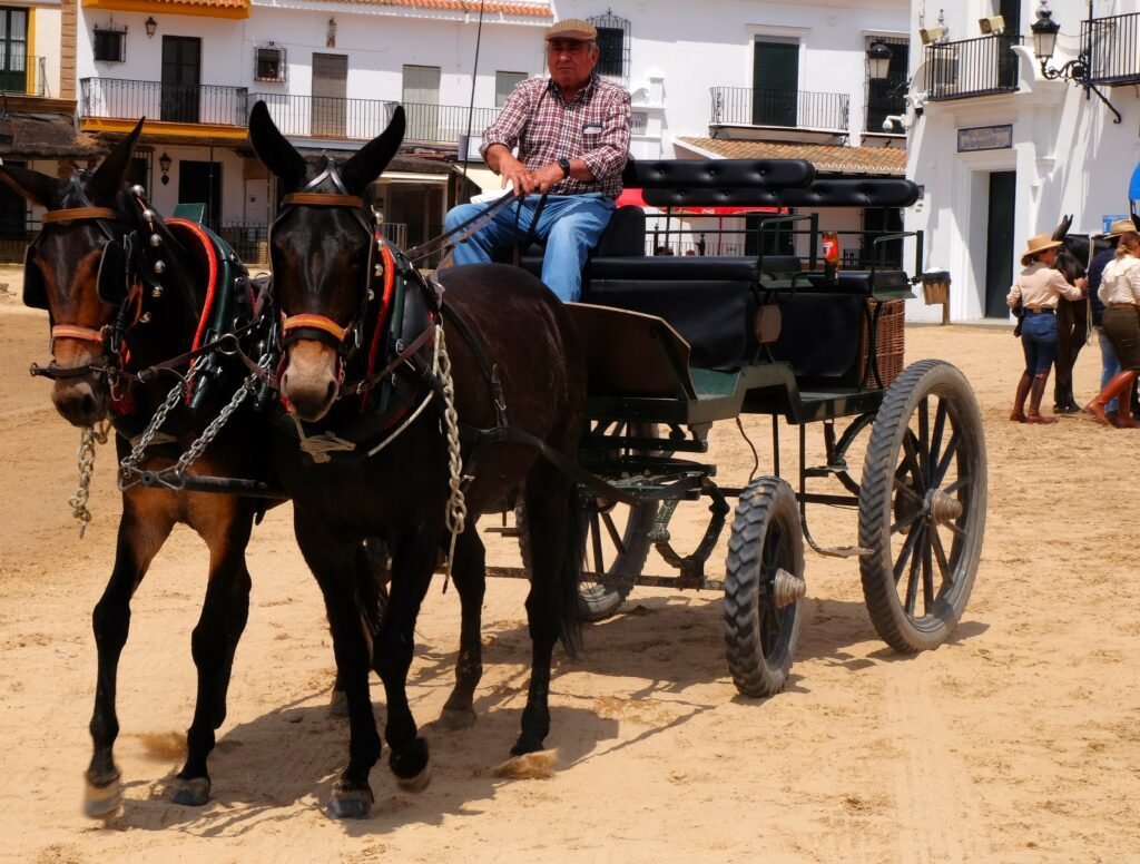 scena di vita con carrozza e cavalli a El Rocio