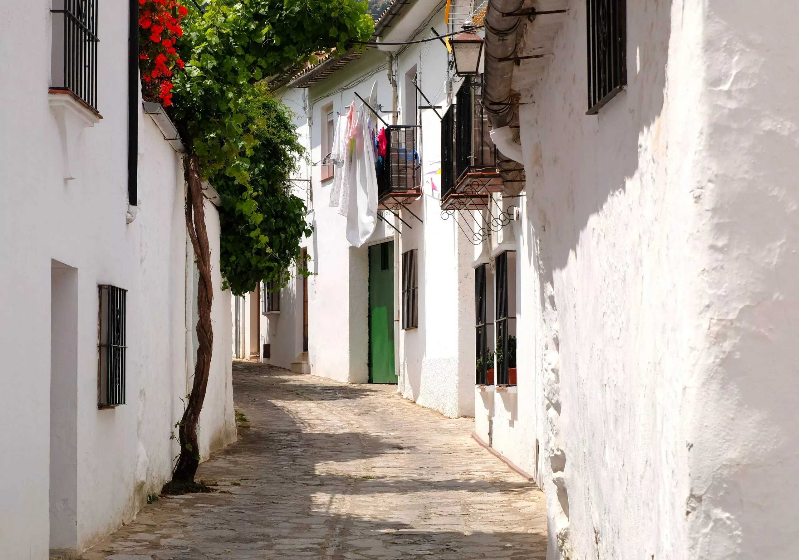 Grazalema what to see in this precious white village