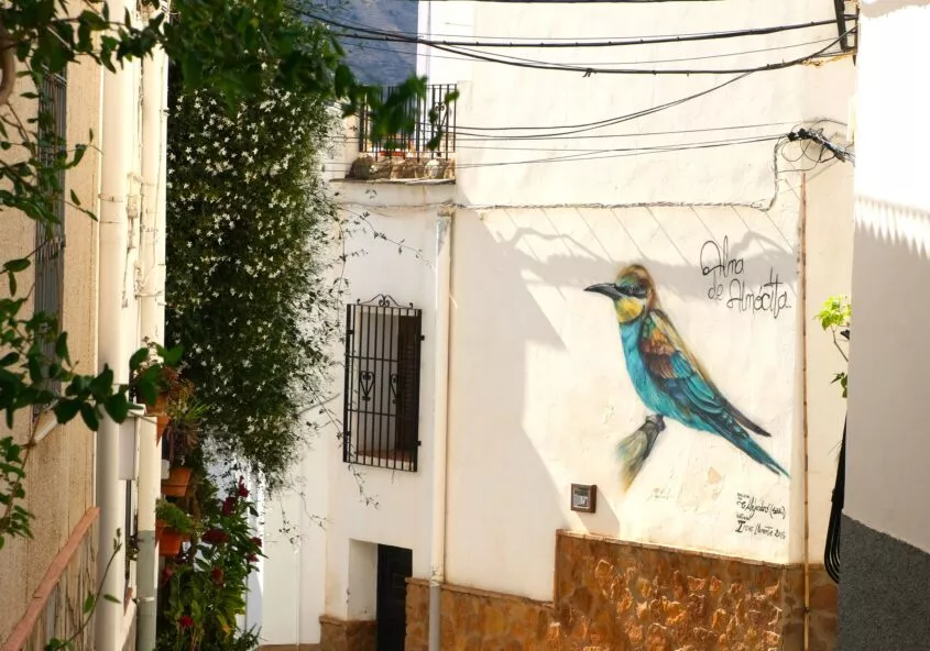 almocita que ver what to see street art