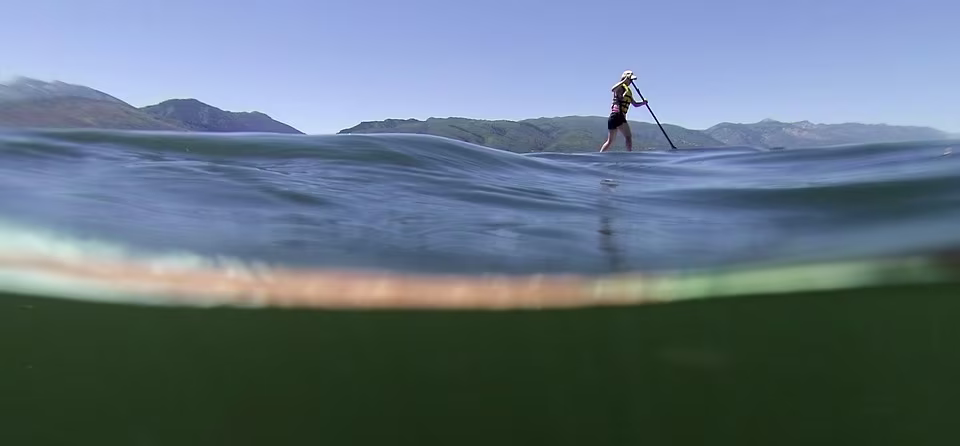 marbella actividades de ocio tabla de stand up paddle