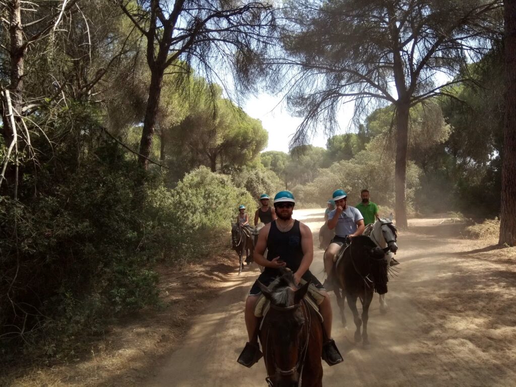 sevilla actividades de ocio paseo a caballo parque de donana
