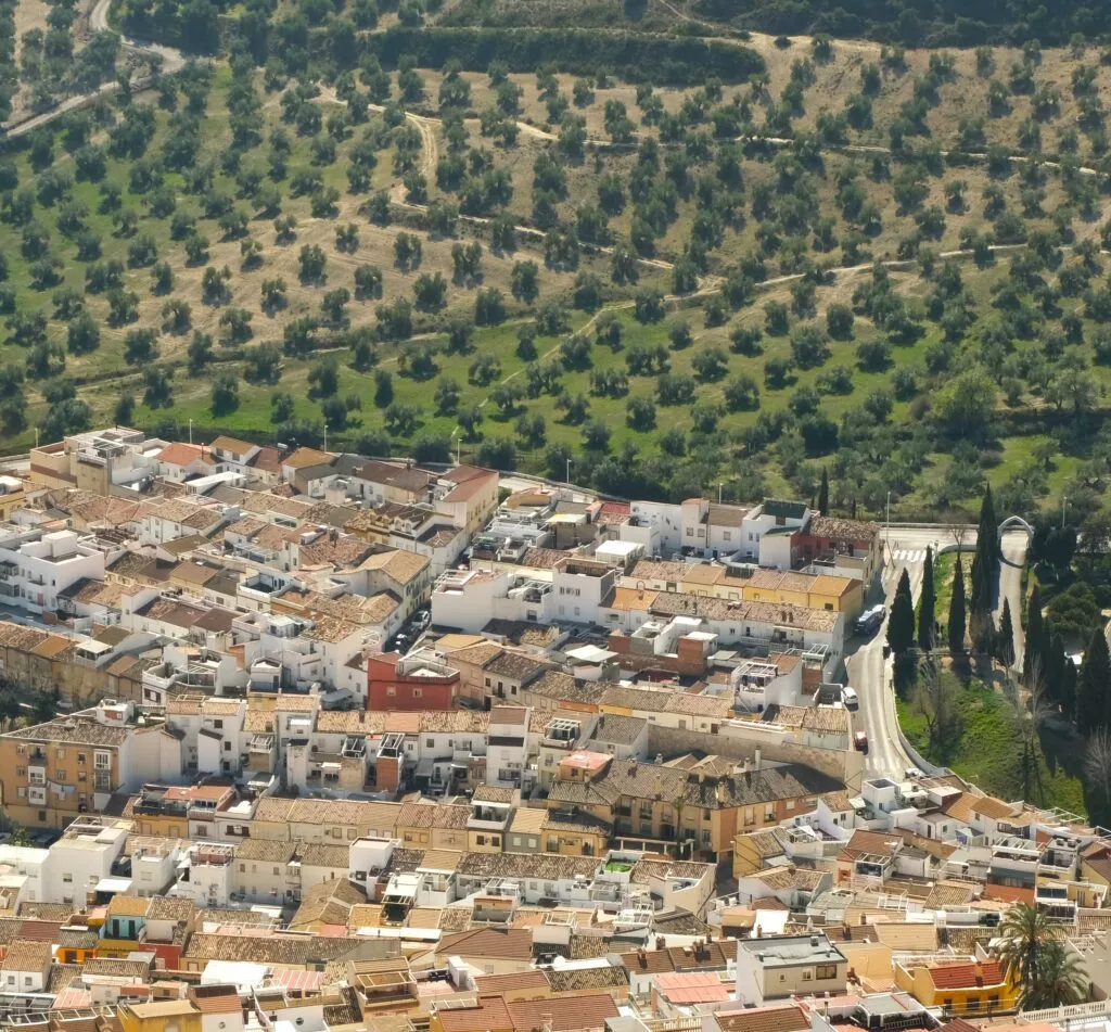jaen que ver su mar de olivos en su entorno