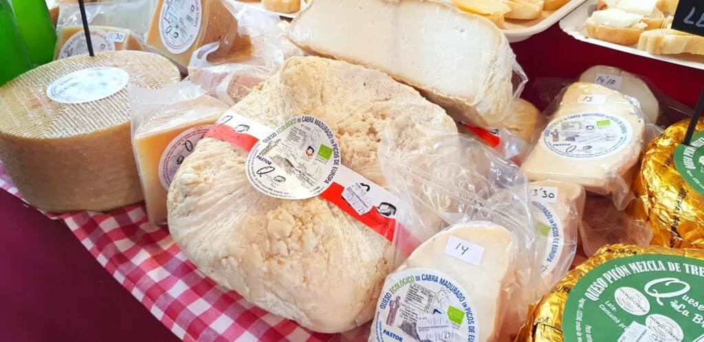 fiesta del queso en zuheros muchas variedades