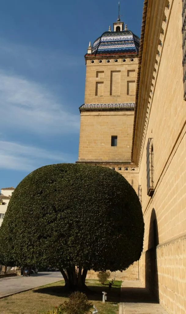 que voir a ubeda visiter hopital de santiago