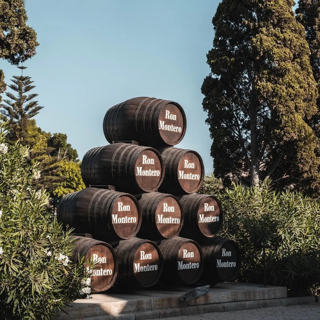 rum factory in motril barrels