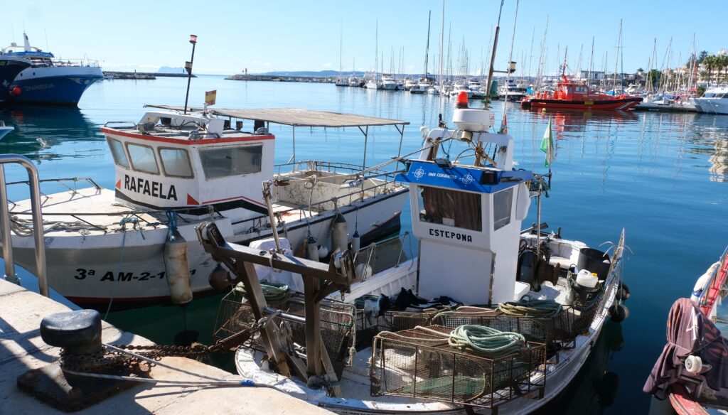 estepona puerto de pesca
