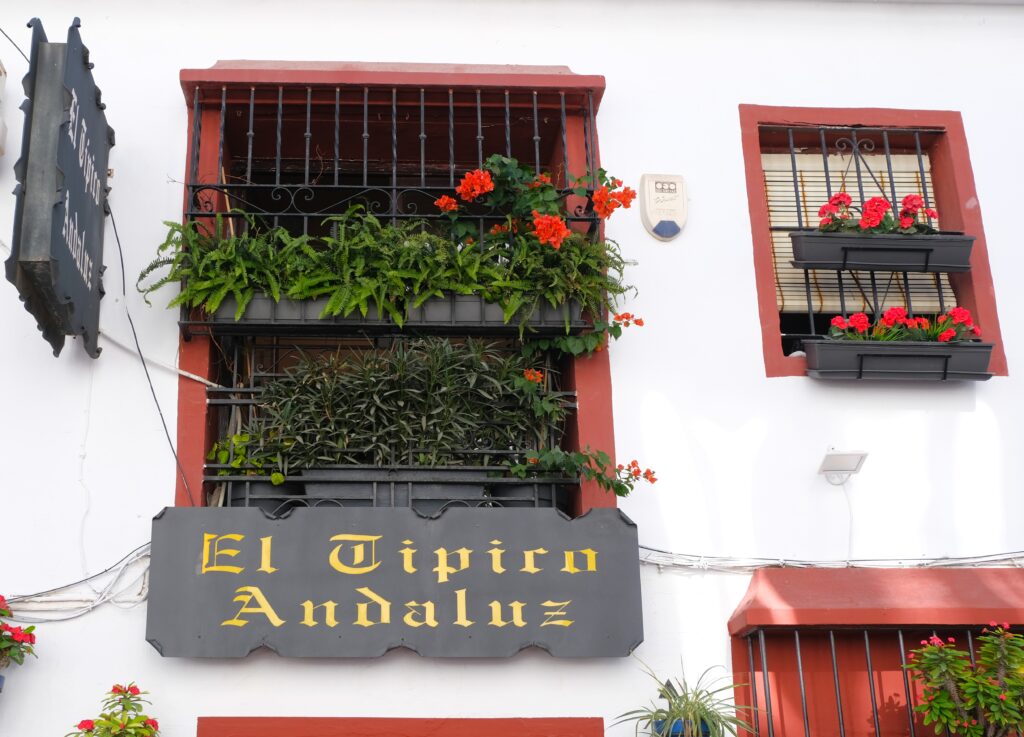 estepona restaurant el tipico andaluz