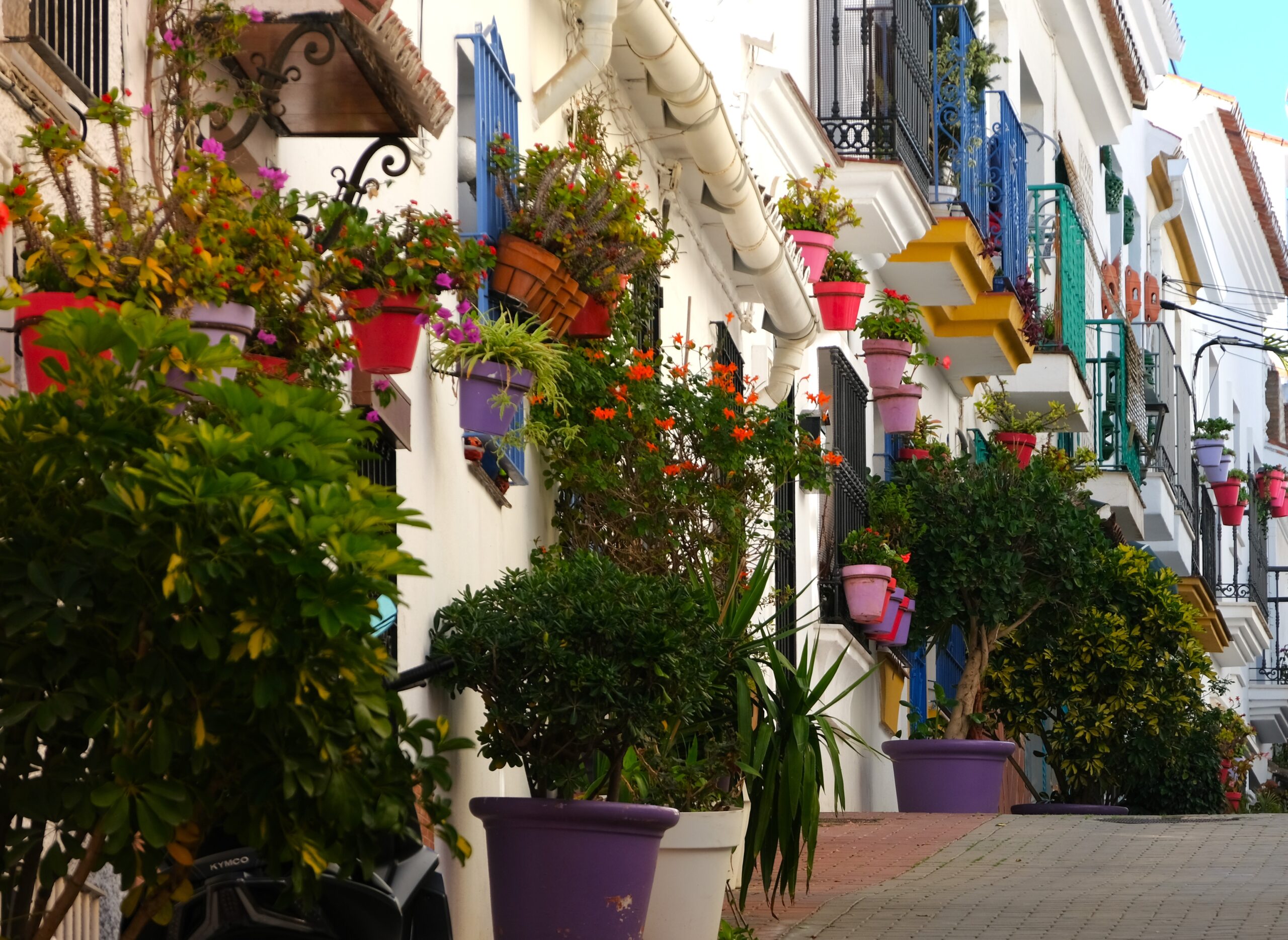 Estepona Cosa fare e vedere? Attività e luoghi imperdibili