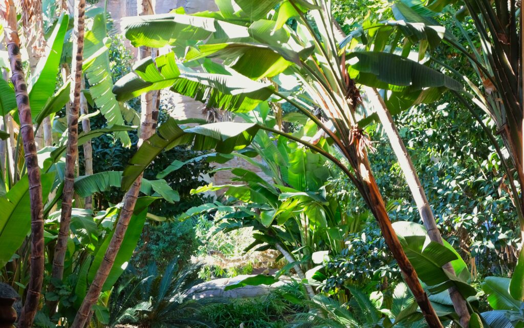 fuengirola bioparc inside