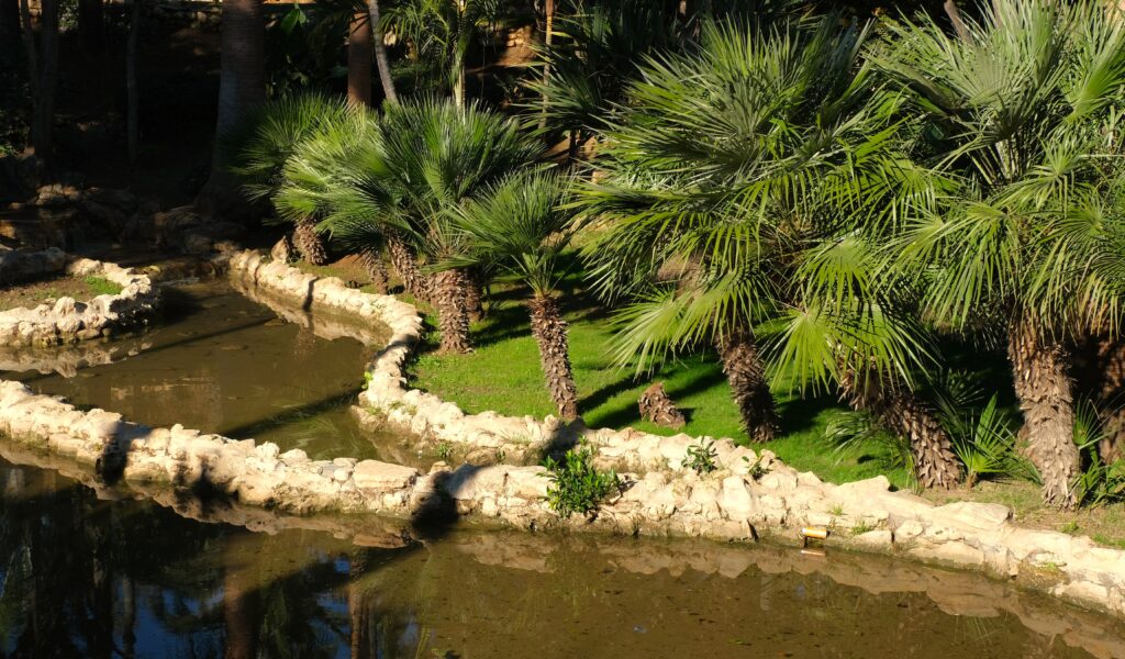fuengirola que hacer paseo en el parque del sol