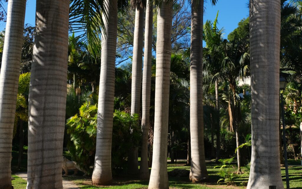 torremolinos things to see and do the molino de inca mill and park