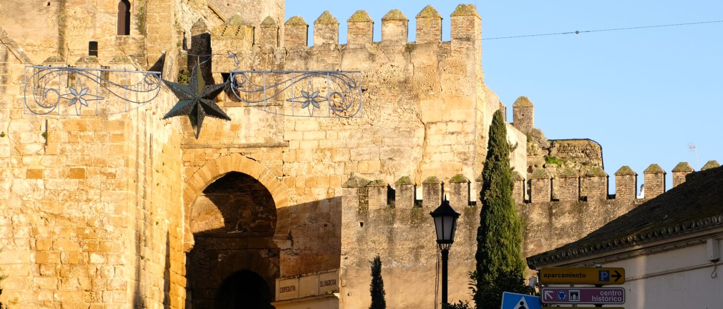 carmona things to do and see seville door