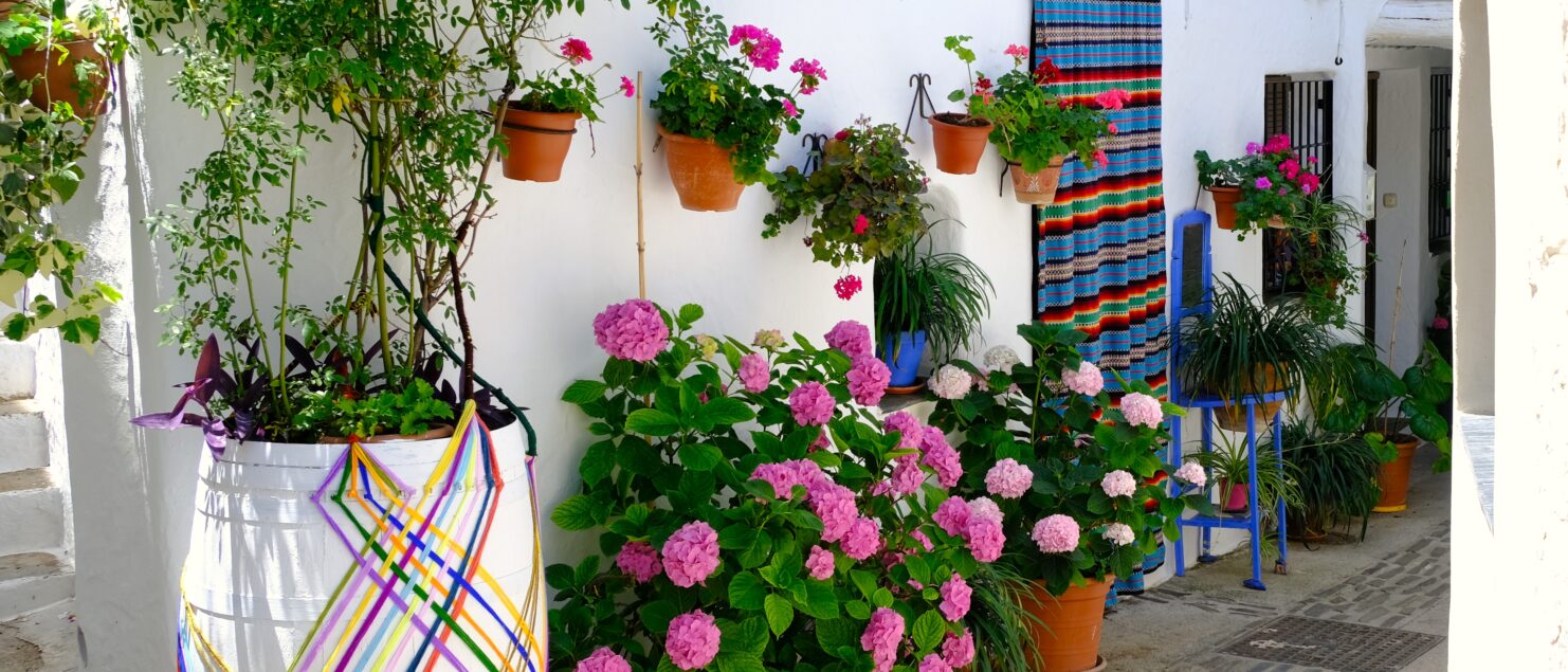 pampaneira que voir et faire se balader dans les ruelles étroites et typiques du village