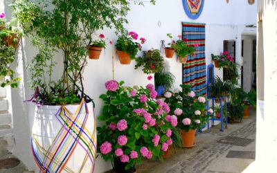 pampaneira que voir et faire se balader dans les ruelles étroites et typiques du village pampaneira que voir et faire se balader dans les ruelles étroites et typiques du village