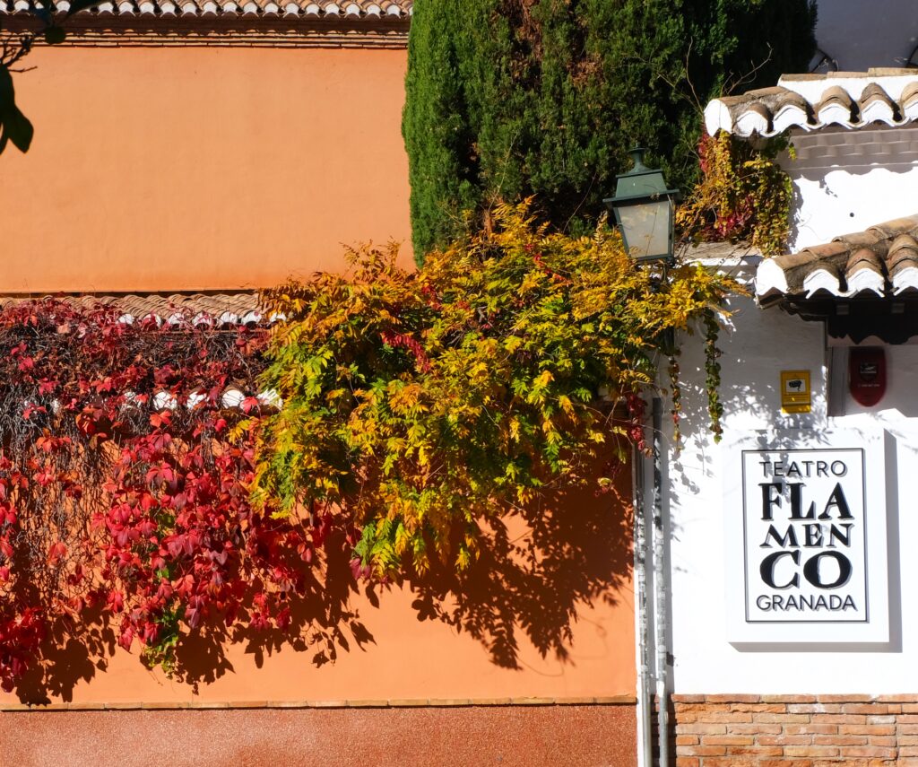 que ver en el barrio del realejo de granada carmen plaza campo del principe
